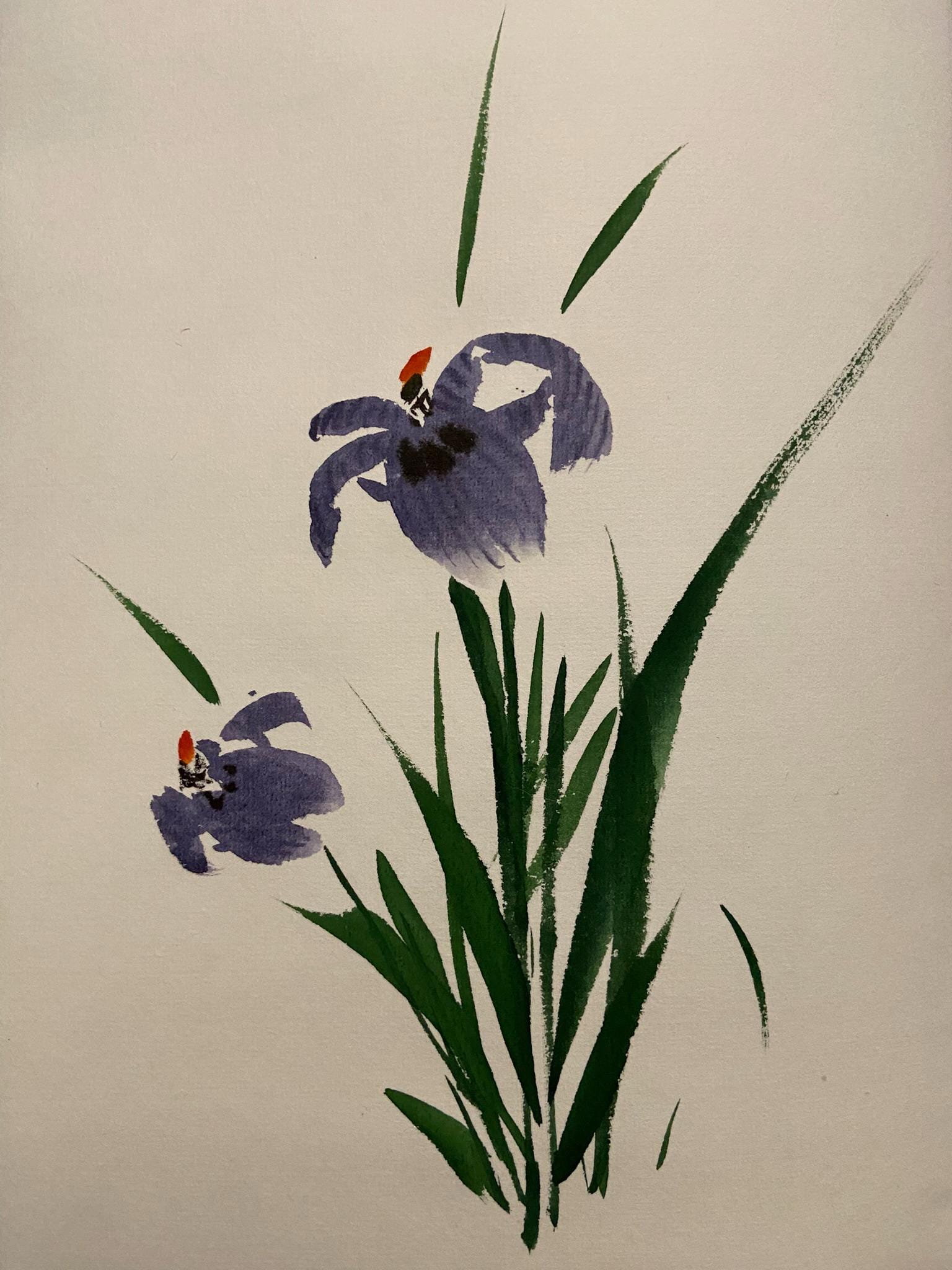 Asian Hanging Scroll Wall Art | Floral Ink Painting Artwork | Japanese Iris | Zen Decor | Vertical Scroll | Korean Calligraphy