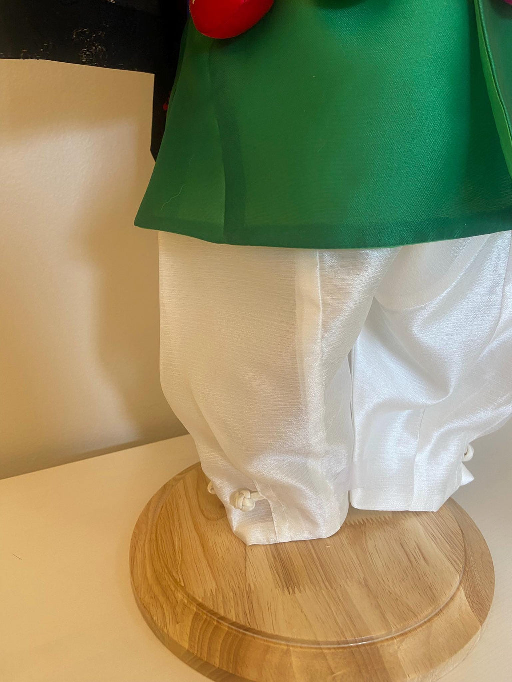 Boy H Hanbok Rental | Traditional Green Hanbok Set | Saekdong Sleeve Hanbok | Traditional Korean 100 Days Celebration Outfit | Size 0